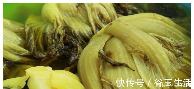 凉白开|腌酸菜，牢记3个技巧，酸菜不烂不生花，酸香脆爽超下饭！