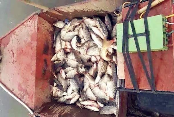 渔政|钓鱼人最愤怒的几个场面,最恨的不是电鱼人,排名第一的是这些人