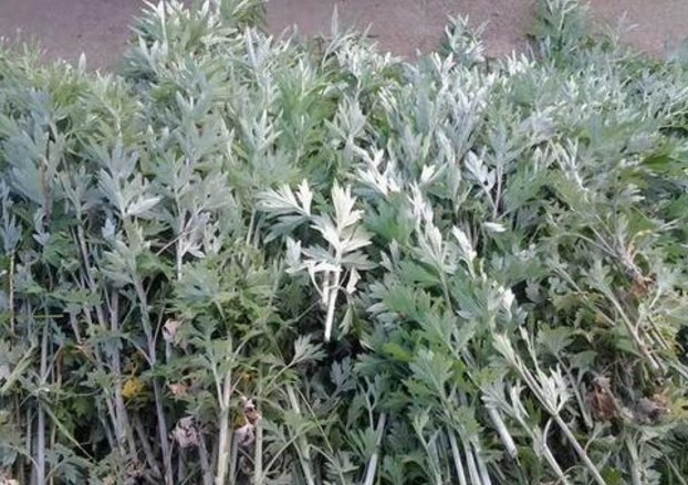 子宫|子宫决定你的“容貌”,常吃3种食物,滋补美容,温暖子宫