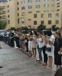 |搞笑GIF:猫:自从这个金毛来到这个家,老子的地位就一落千丈