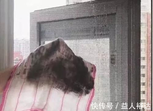 污垢|纱窗灰尘多难清洗?教你两个小妙招,不花一分钱轻轻松松变干净!