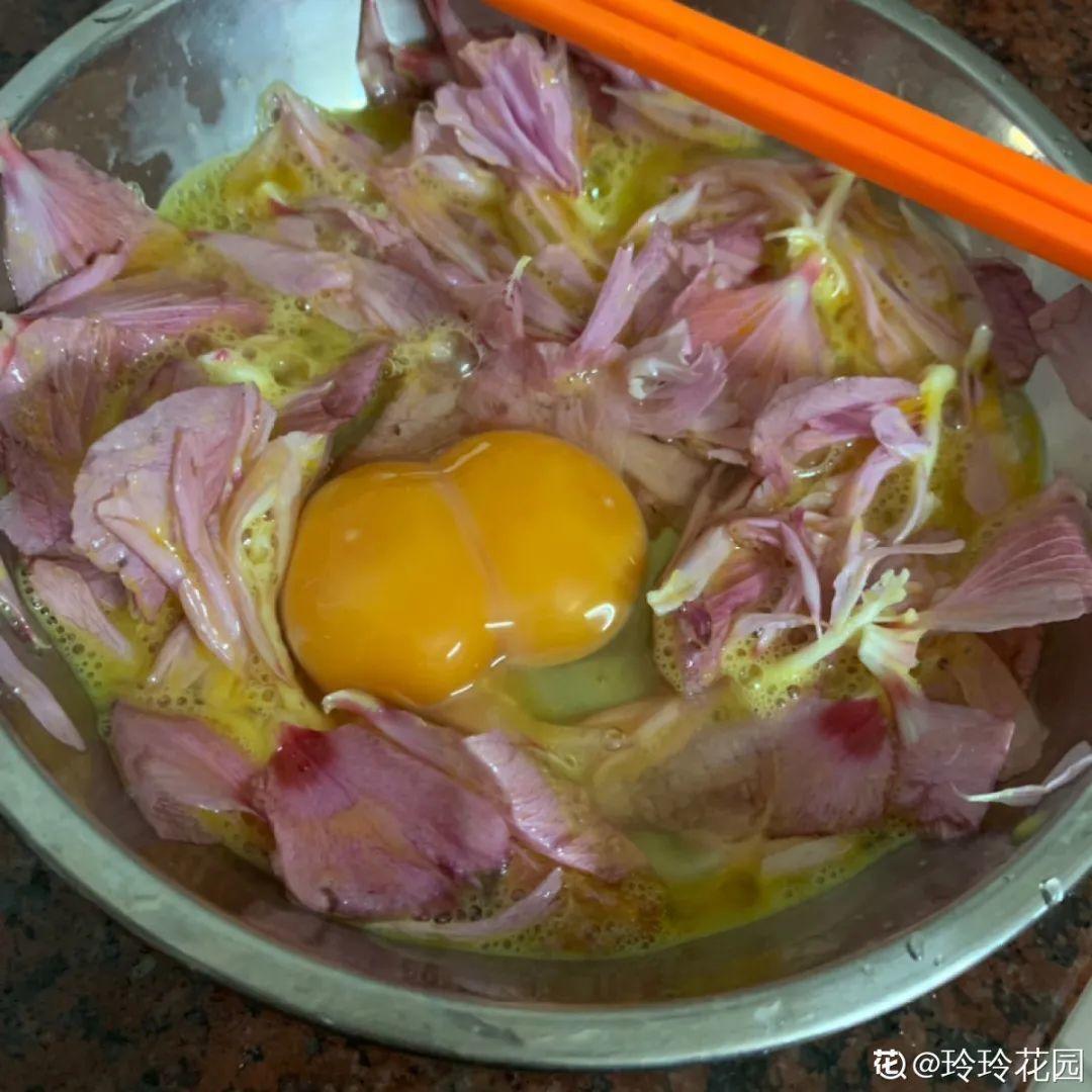 香飘飘的花,吃一口满嘴花香,再不吃就没了