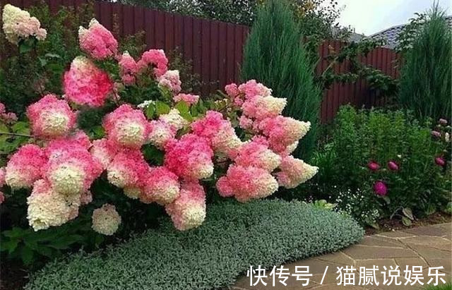 这9种花园,随便1个都美上天了,有一种这辈子就满足了!