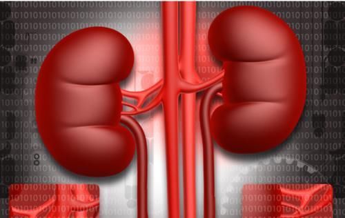 糖尿病|小便后泡沫多,是得了糖尿病肾病吗?这篇文章说清楚了