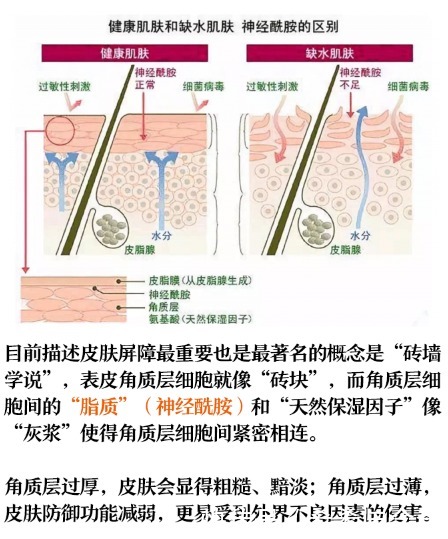 你真的了解孕期护肤真相吗?别让无知毁了脸!科学护肤应该这样做