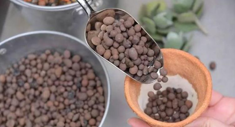 养花换盆时,多“加”1物,花卉“10年”不烂根,叶子绿,开花多