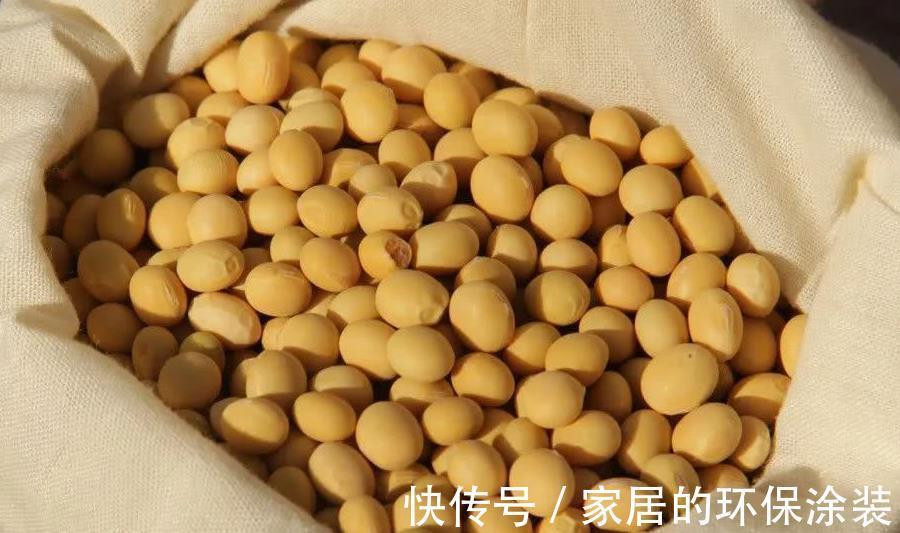 浇花|一把黄豆、一些果皮,囤上2个月,制成万能水肥,养花赚大了