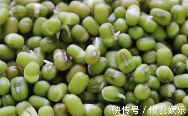 榧子|医生提醒绿豆不能和4种食物一起吃,现在知道还不迟!