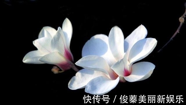 朋友之间|做人,若是理不清这三种关系,人生会很苦