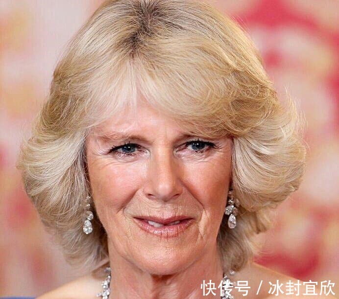 伊丽莎白|卡米拉的蛇形项链20年前做情人时查尔斯送的,蛇蝎气质一目了然