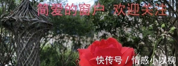 侯宝林|喜欢读书的人,会有这些表现,希望你也是一个爱读书的人