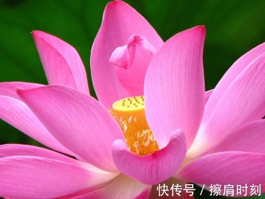 8月20日开始，吉星照耀，4属相桃花灿烂，生活如鱼得水