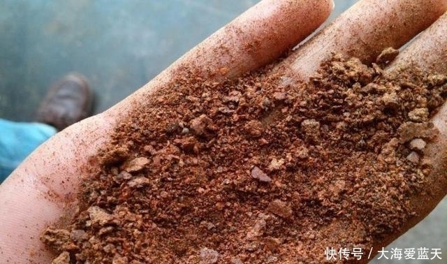 鲤鱼|这东西专攻鲫鱼鲤鱼,开春钓鱼记得加一点,让你渔获轻松翻倍