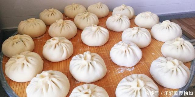 鲫壳|老人俗话“割肉不割槽头肉,买鱼不买鲫壳鱼”,你知道啥意思吗