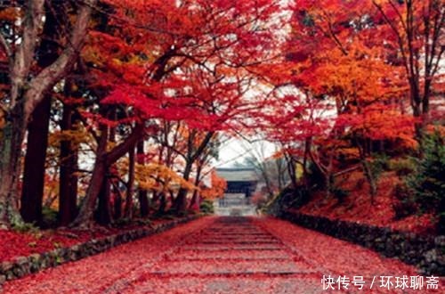 古典君|断鸿渺渺空银海,疏雨潇潇满玉楼;八首七律诗,已是天凉好个秋
