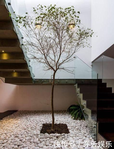 头一次见到户型不带院子,偏偏要在室内建庭院,没想到还这么漂亮