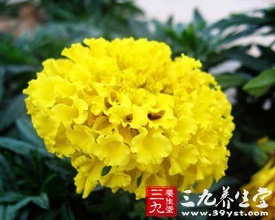 十招打造平衡心理