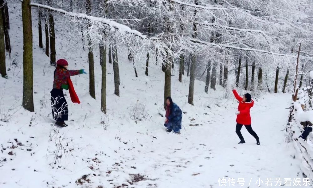 雪天|一到雪天，李家就美成了壁纸！