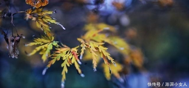 轻松|遇到不顺时怎么办,默念这三句话,心境会轻松许多!