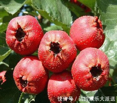 血液黏稠的人，看嘴就知道！若出现3种表现，血管该清理了