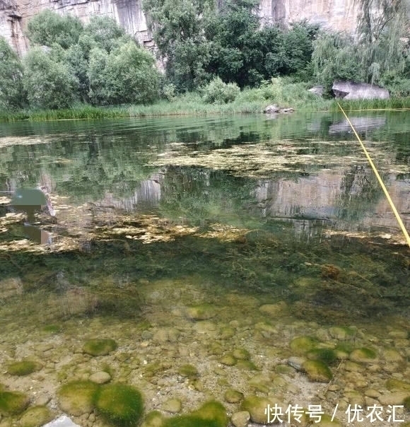 这鱼1000一斤?老家深山里,以前一天能钓百条,土话叫吸盘鱼