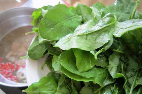  食物|冬天女性多吃三种食物，补充营养，润肺祛痰，健脾解毒好处多