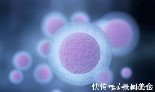 输卵管|如果卵子没遇到精子,那么排出的“卵子”去了哪里害羞也看完