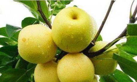 女人愛美，適合常吃3種食物，降壓減脂，清理腸胃，增強抵抗力