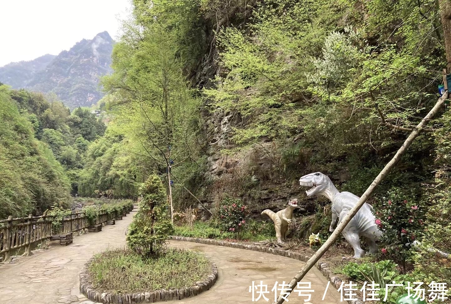 保护区|秋游米仓山，是一件惬意的旅行选择