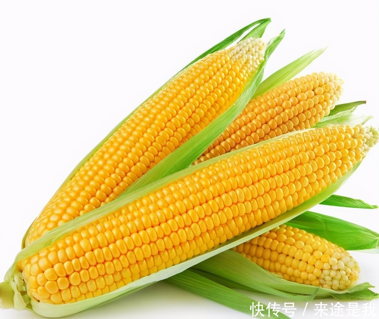 女性过了40岁,多吃3种食物,补血养颜、滋润肌