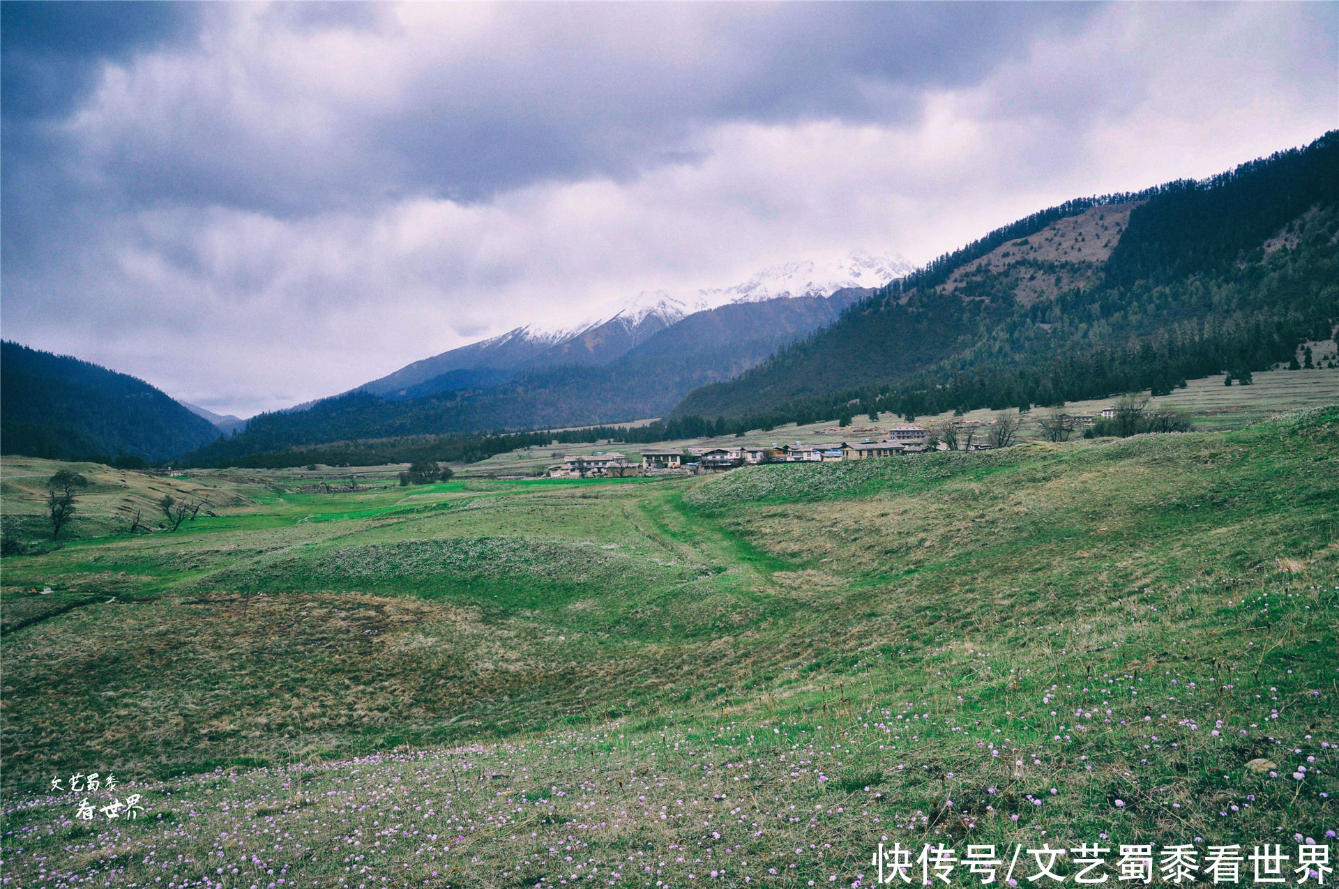 在川藏线上有一个仙境一样的村庄，鲁朗扎西岗村，去过的人并不多