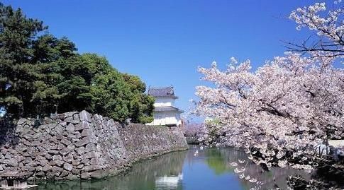 下跌|日本房地产泡沫破灭，今房价下降，为何却无人想买？原因很简单