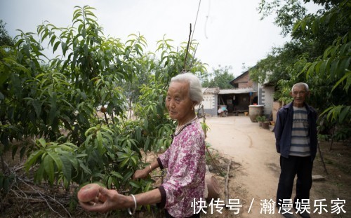 黄河&八旬夫妇住蟠桃园里，黄河就从眼前过，蟠桃熟时喊路人随便摘着吃