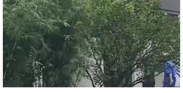 青春环游记3正式录制,范丞丞宋小宝合体变奥利奥兄弟,杨洋路透有惊喜