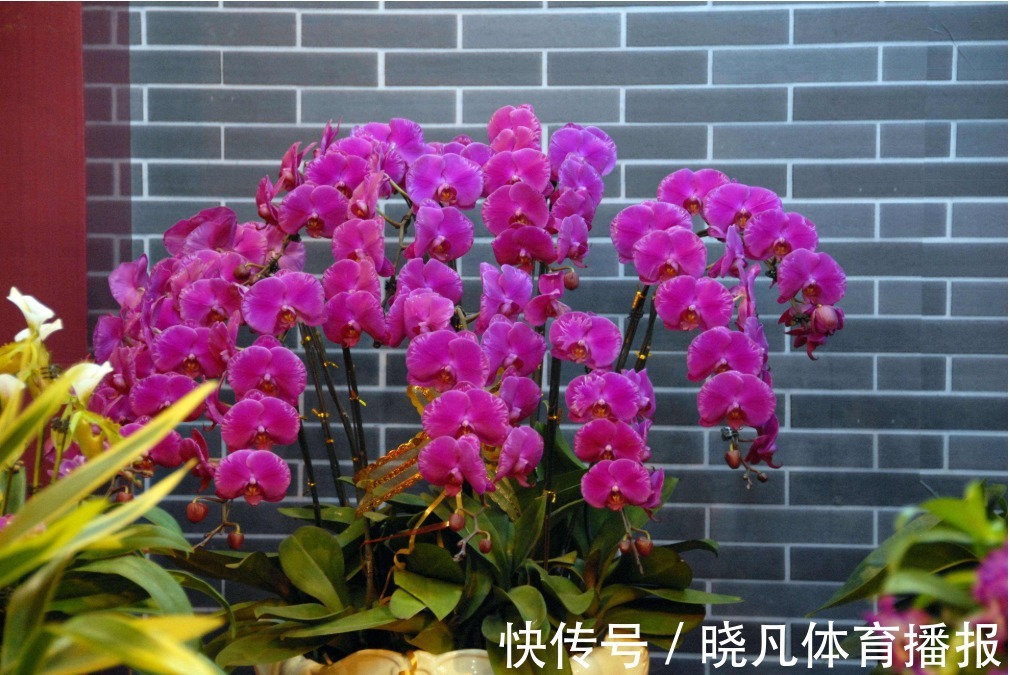 腊月|俗语“人怕腊月生,又怕腊月死”,为何这么说,有啥深层含义?