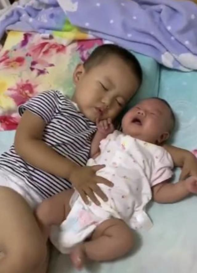 阿宝|哥哥帮妈妈哄妹妹午休,结果自己先睡着了,妈妈看到这一幕好暖心