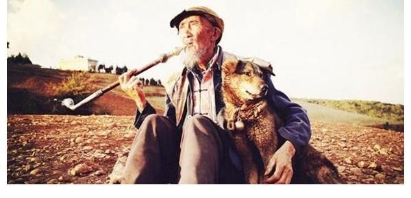 程鹏@1993年,他带狗参演《老人与狗》,电影拍完人与狗皆被处死