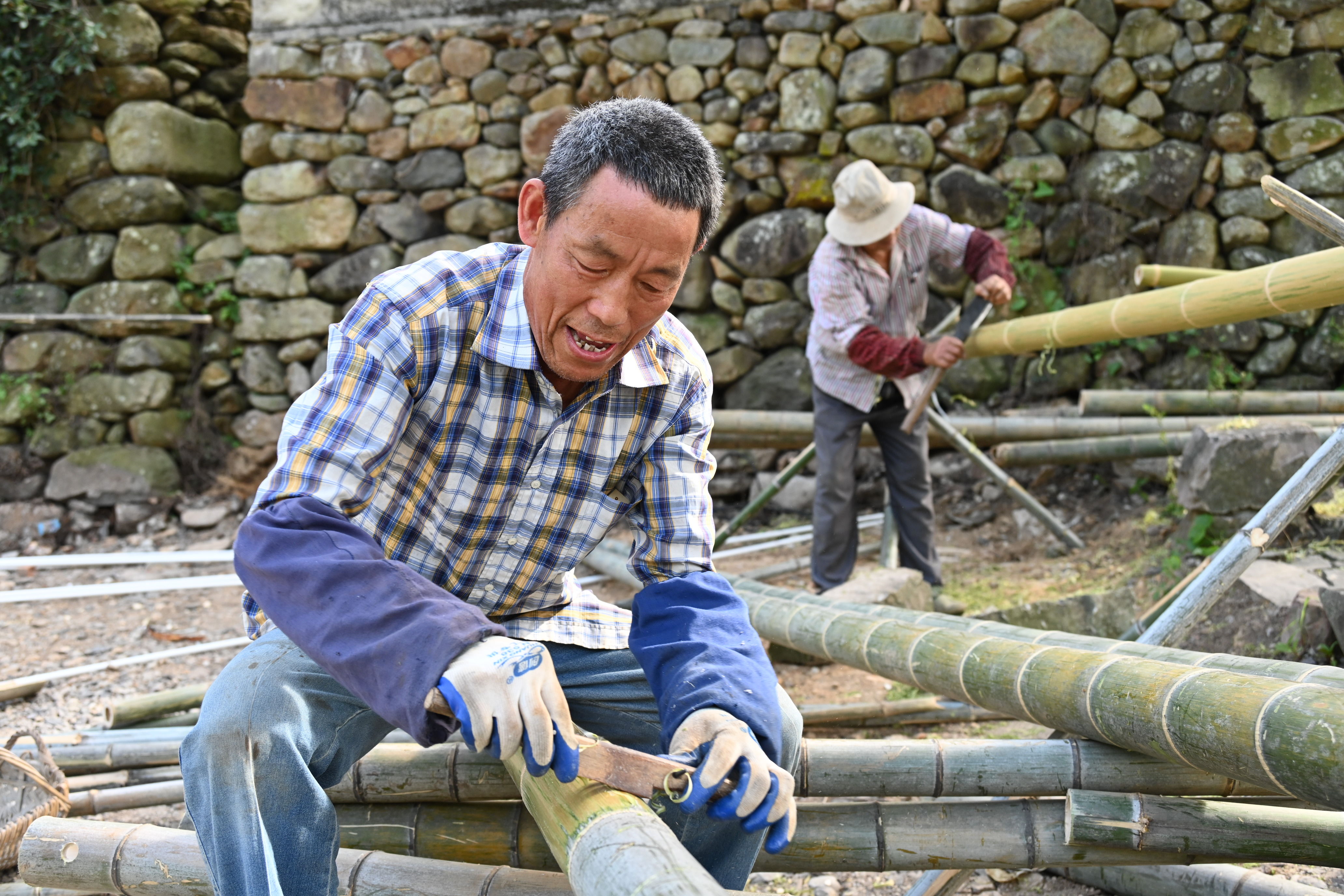 侠客帽|“侠客帽”到底放哪好？宁海500年大糙树下的这场“头脑风暴”太吸引人了！