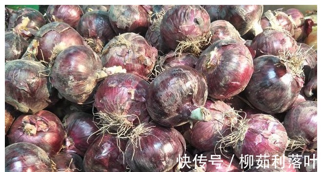 区别|一样是洋葱,白皮的和紫皮有什么区别老农民告诉你,别再买错了!