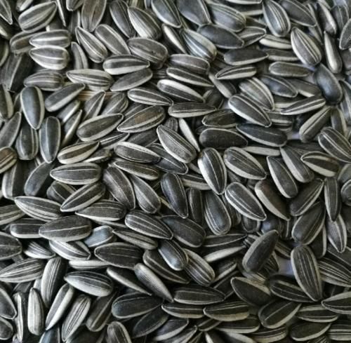 食物|这5种食物吃一口，需要运动4小时才能消耗掉，有你最爱吃的吗