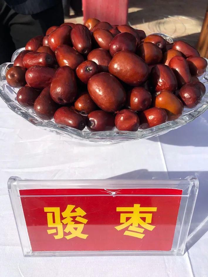 资料图|11月5日，新疆·若羌第十四届“楼兰文化·红枣节”将盛大开幕！