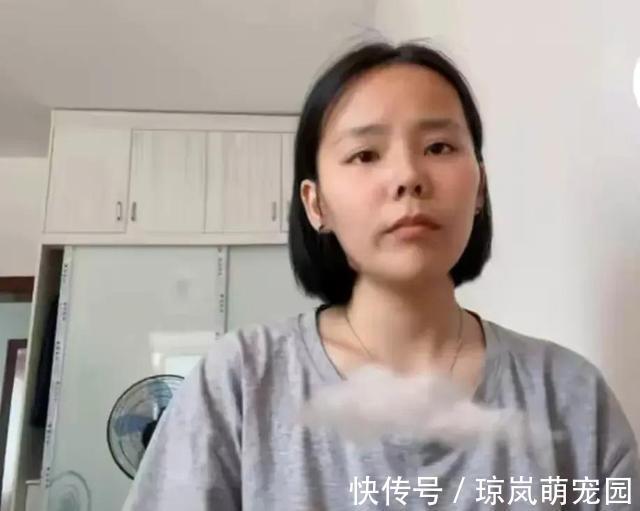 录音|无论是谁放出姚策与许母的电话录音，都无任何实际意义
