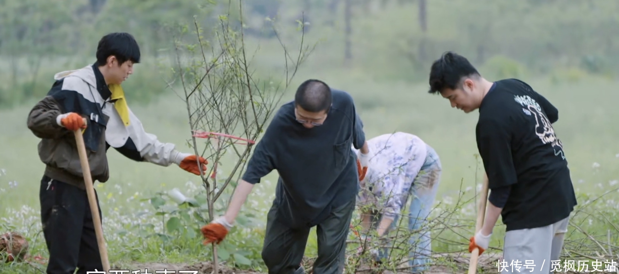 吐槽大会|陈赫李诞人设洗白？种树累到崩溃，张子枫：还好杨紫走了