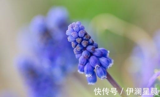 挽回|五天后，烟雨蒙蒙，爱如潮水，虽有无奈，挽回前任，执手相恋