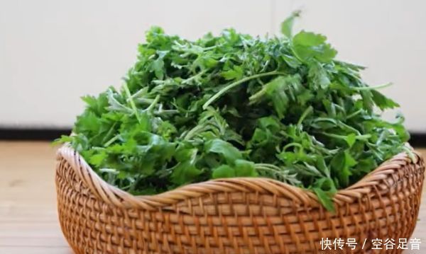 保存艾叶有诀窍,教你2招,放一年都不烂不变黑,像刚摘的一样新