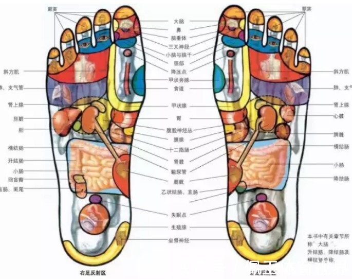 脚背处|女人踩踩自己的脚，不容易得妇科病，为什么？