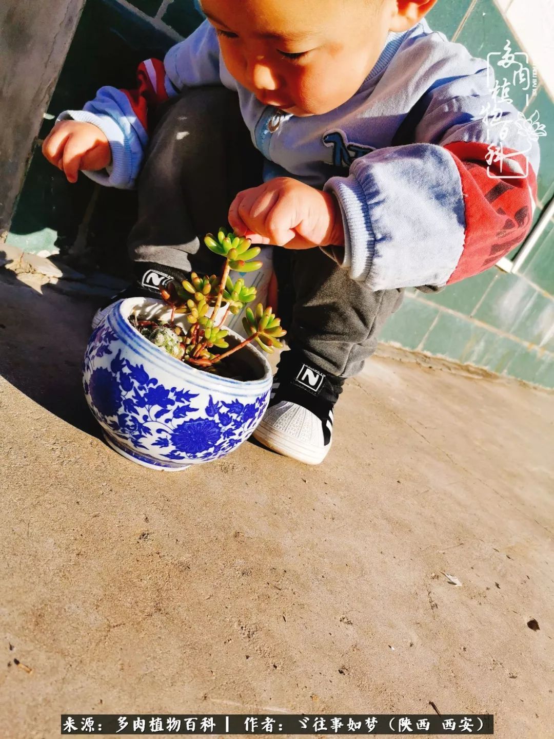 愿你付出甘之如饴，愿你所得归于欢喜！