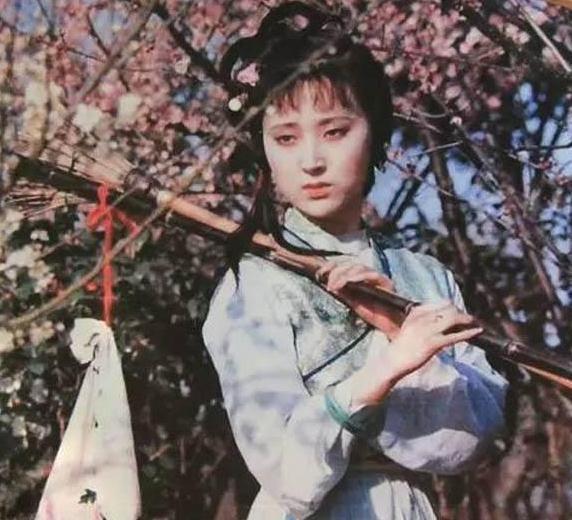 贾政！黛玉的母亲究竟是不是嫡出？恐怕整个贾府就没有一个嫡出儿女