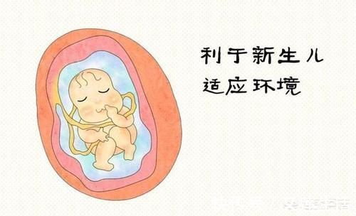 孩子|产妇在水中生孩子是不是可以避免由于各种胎位不正引起的胎儿缺氧或窒息?