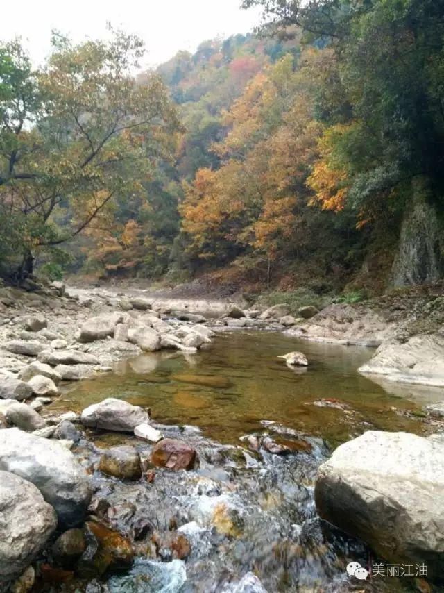 风动|【创建天府旅游名县】色在深秋，风动叶飘零，李白故里美色迷人，要你好看！